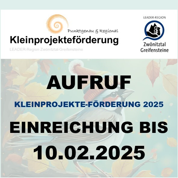 Das Bild ist eine Informationsgrafik zur Kleinprojekteförderung 2025.